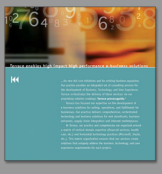terrace consulting, brochure