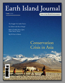 earth island journal, magazine cover